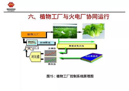 植物工廠與火電廠協同運行 能源與農業的共生之道